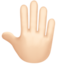 🤚🏻